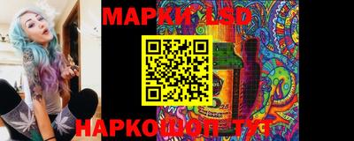 индика Бердск