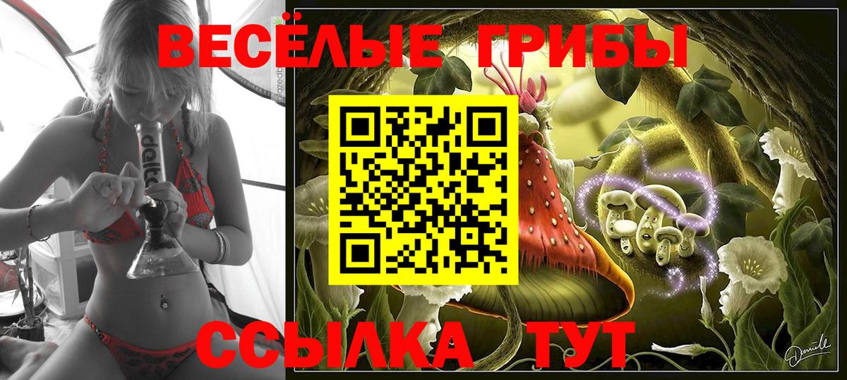 Галлюциногенные грибы ЛСД Гулькевичи